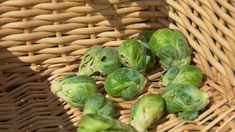 Fruits brussels sprouts falling to cart Stock Footage 70806895