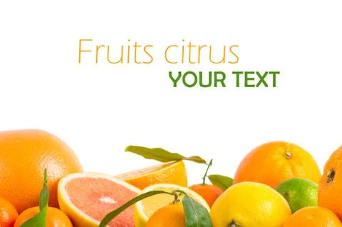 Fruits citrus Stock Photos