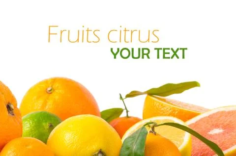Fruits citrus Stock Photos