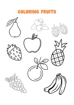 Fruits Collection Line Art Vector Illustration Stock Illustration