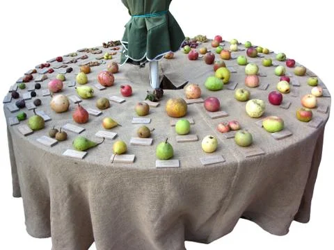 Fruits collection on the table Stock Photos