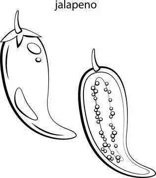 Fruits for coloring. Stock Illustration