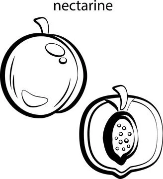 Fruits for coloring. Stock Illustration