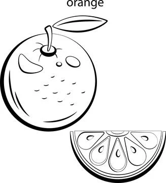 Fruits for coloring. Stock Illustration