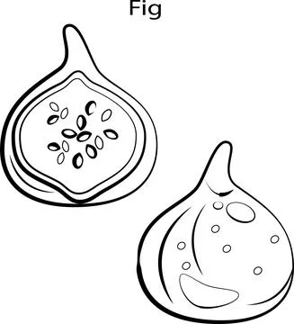 Fruits for coloring. Stock Illustration