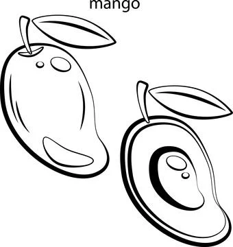 Fruits for coloring. Stock Illustration