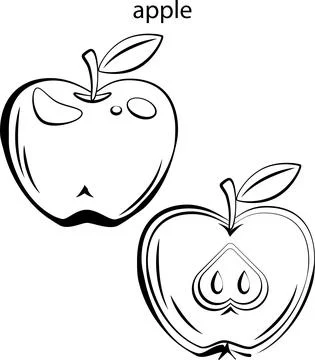 Fruits for coloring. Stock Illustration