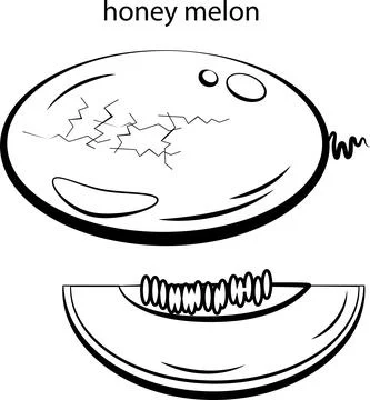 Fruits for coloring. Stock Illustration