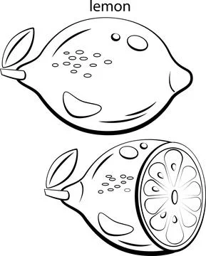 Fruits for coloring. Stock Illustration