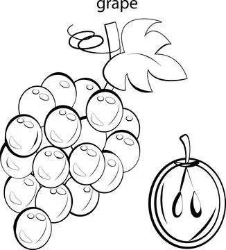 Fruits for coloring. Stock Illustration