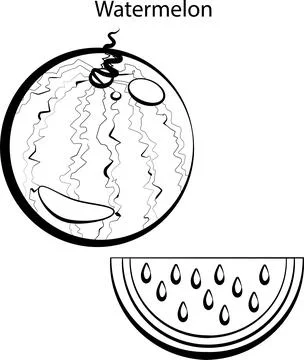 Fruits for coloring. Stock Illustration