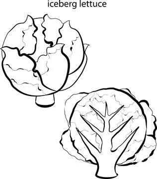 Fruits for coloring. Stock Illustration