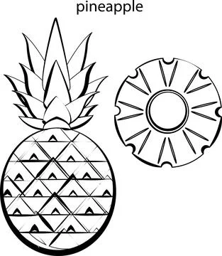 Fruits for coloring. Stock Illustration