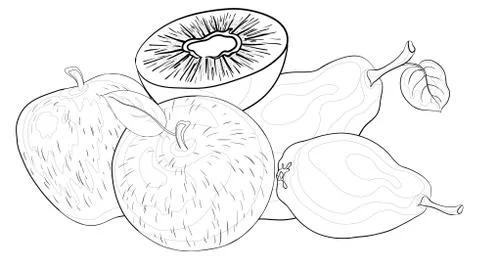 Fruits, contours Stock Illustration