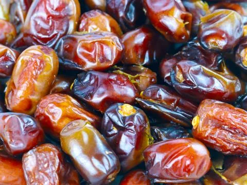 Fruits of date palm Stock Photos