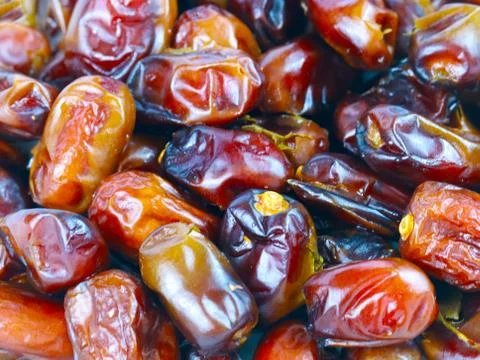 Fruits of date palm 写真素材