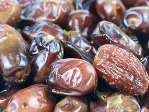 Fruits of date palm Stock Photos