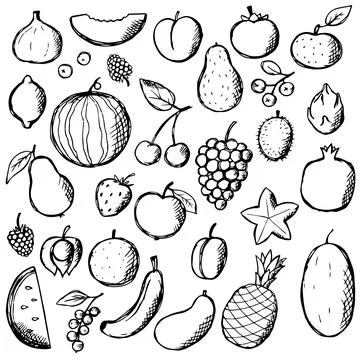 Fruits Doodle Hand Draw set. Vector food elements collection Stock Illustration