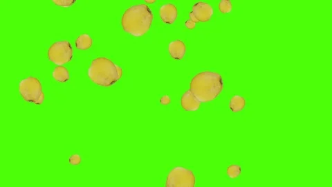Fruits falling animation chroma key element loop, lemons Stock Footage 126920059