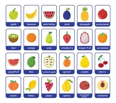 Fruits flashcards bundle. Big collection with different fruits Stock Illustration