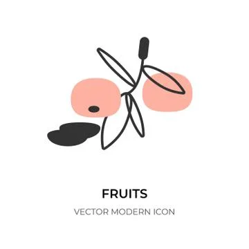 Fruits flat line icon mandarin citrus slice vector Stock Illustration