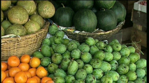 Fruits 動画素材 378055