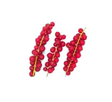 Fruits of the forest in composition Stock Photos