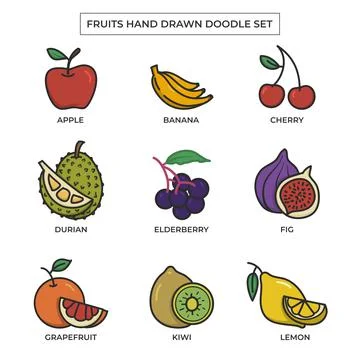 Fruits hand drawn doodle set with flat color Stock Illustration