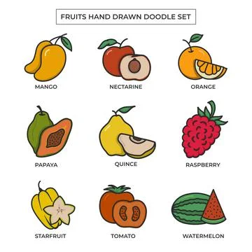 Fruits hand drawn doodle set with flat color Stock Illustration