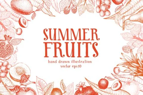 Fruits hand drawn vector background. Banner template. Retro engraved style Stock Illustration