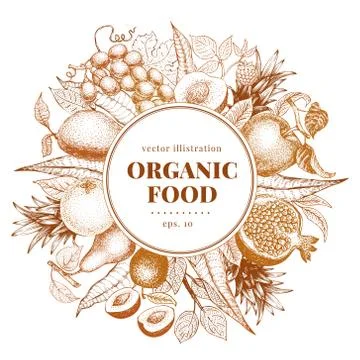 Fruits hand drawn vector frame. Banner template. Retro engraved style background Stock Illustration