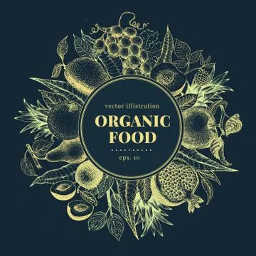 Fruits hand drawn vector frame. Banner template. Retro engraved style background Stock Illustration