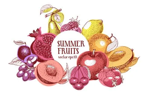 Fruits hand drawn vector frame. Banner template. Retro engraved style background Stock Illustration