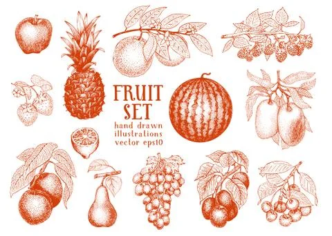 Fruits hand drawn vector illustration set. Retro engraved style illustrations Stock Illustration