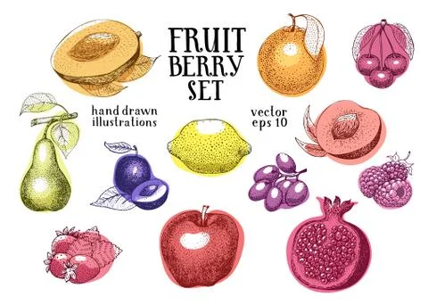 Fruits hand drawn vector illustration set. Retro engraved style illustrations Stock Illustration