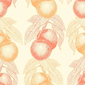 Fruits hand drawn vector seamless pattern with peach. Retro engraved style Stock Illustration