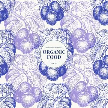 Fruits hand drawn vector seamless pattern. Banner template with plumm berries Stock Illustration