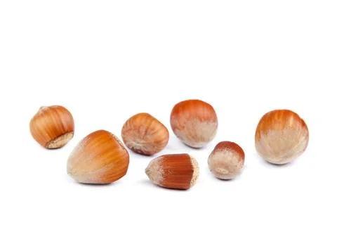 Fruits Hazelnuts isolated on a white background. Stock Photos