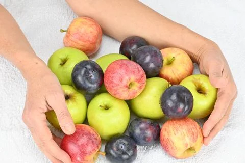 Fruits in human hands Stock Photos