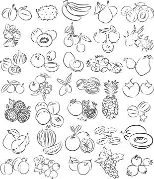 Fruits 스톡 일러스트