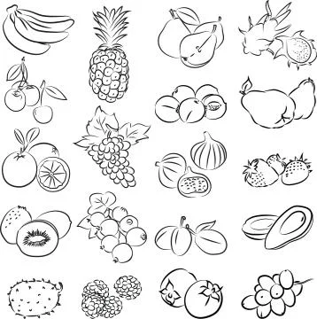Fruits 스톡 일러스트