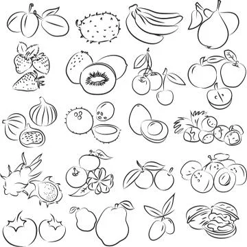 Fruits 스톡 일러스트