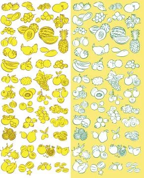 Fruits 스톡 일러스트