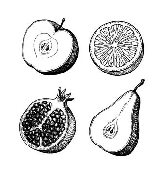 Fruits ink sketch set. Illustrazione stock