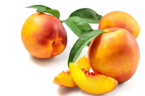 Fruits of nectarine Stock Photos