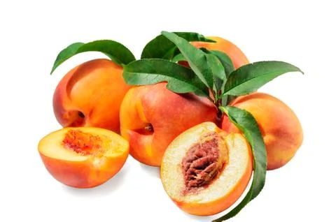 Fruits of nectarine Stock Photos