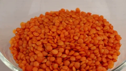 Fruits of orange lentils Stock Footage 123432465