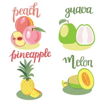 Fruits peach, guava, melon, pineapple isolated and hand drawn lettering Stock Illustration