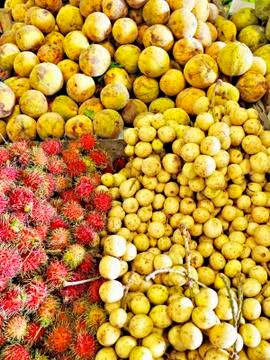 Fruits Stock-Fotos