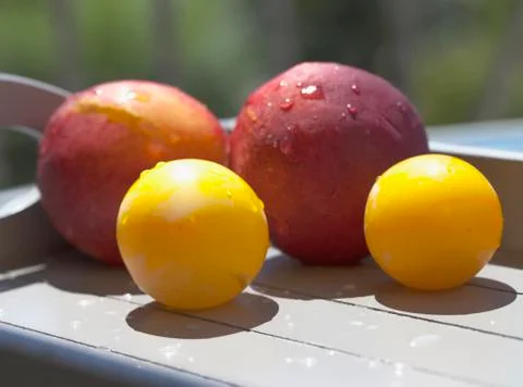Fruits Foto stock